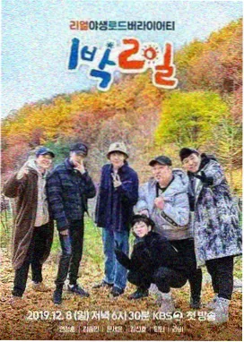 长夜灯河 热榜封面